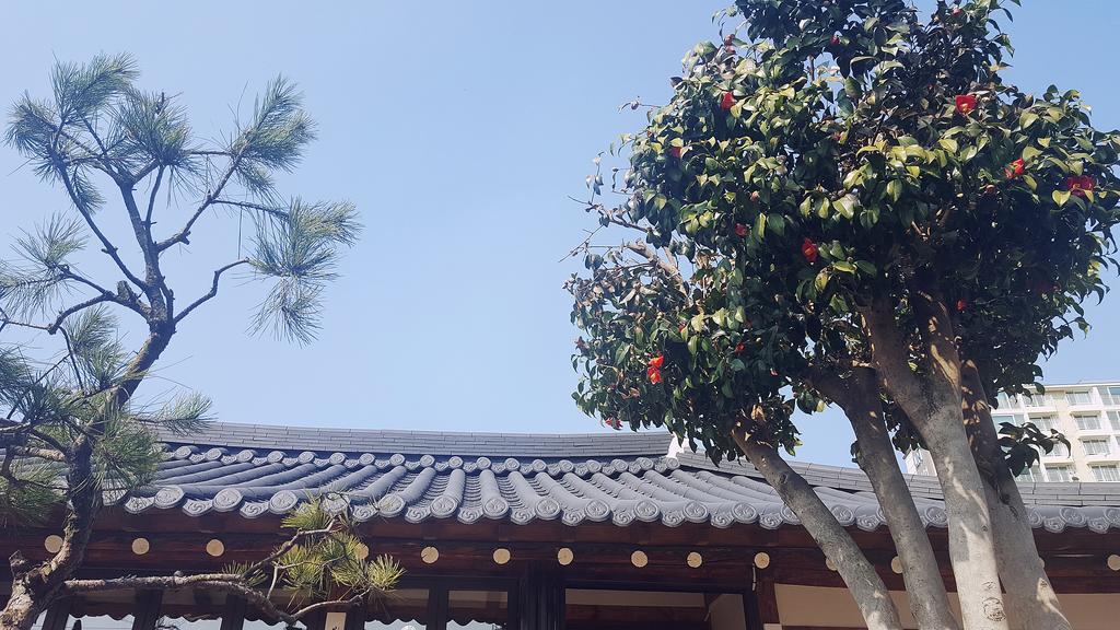 Misori Guesthouse Gwangju Metropolitan City Eksteriør billede