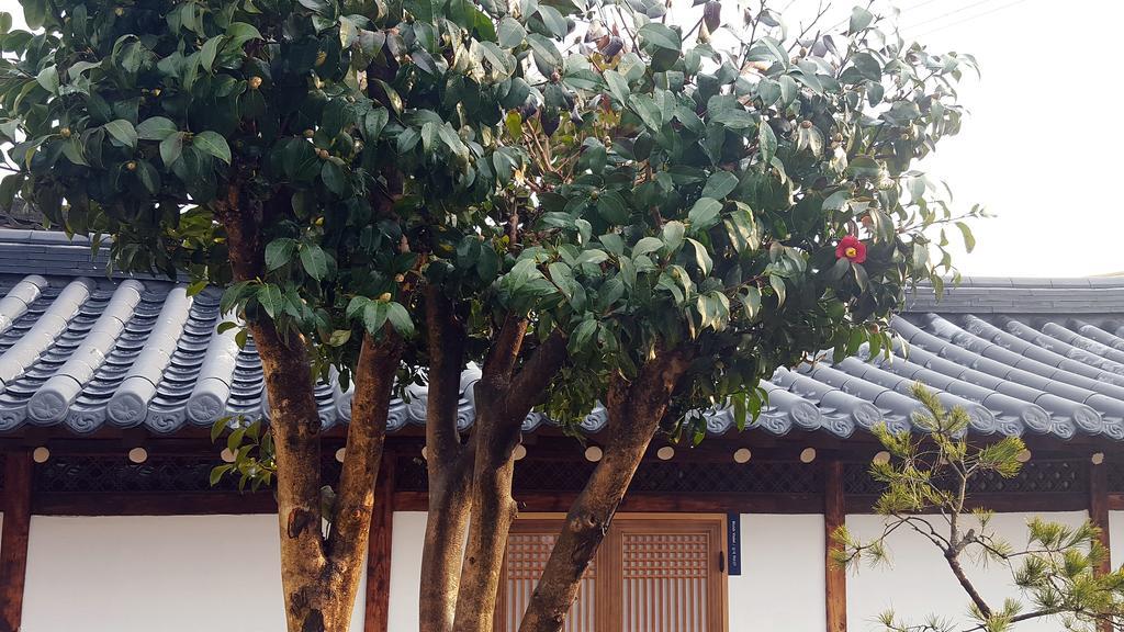 Misori Guesthouse Gwangju Metropolitan City Eksteriør billede