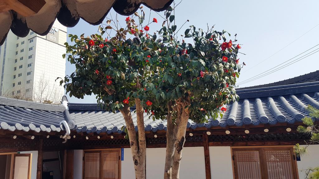 Misori Guesthouse Gwangju Metropolitan City Eksteriør billede