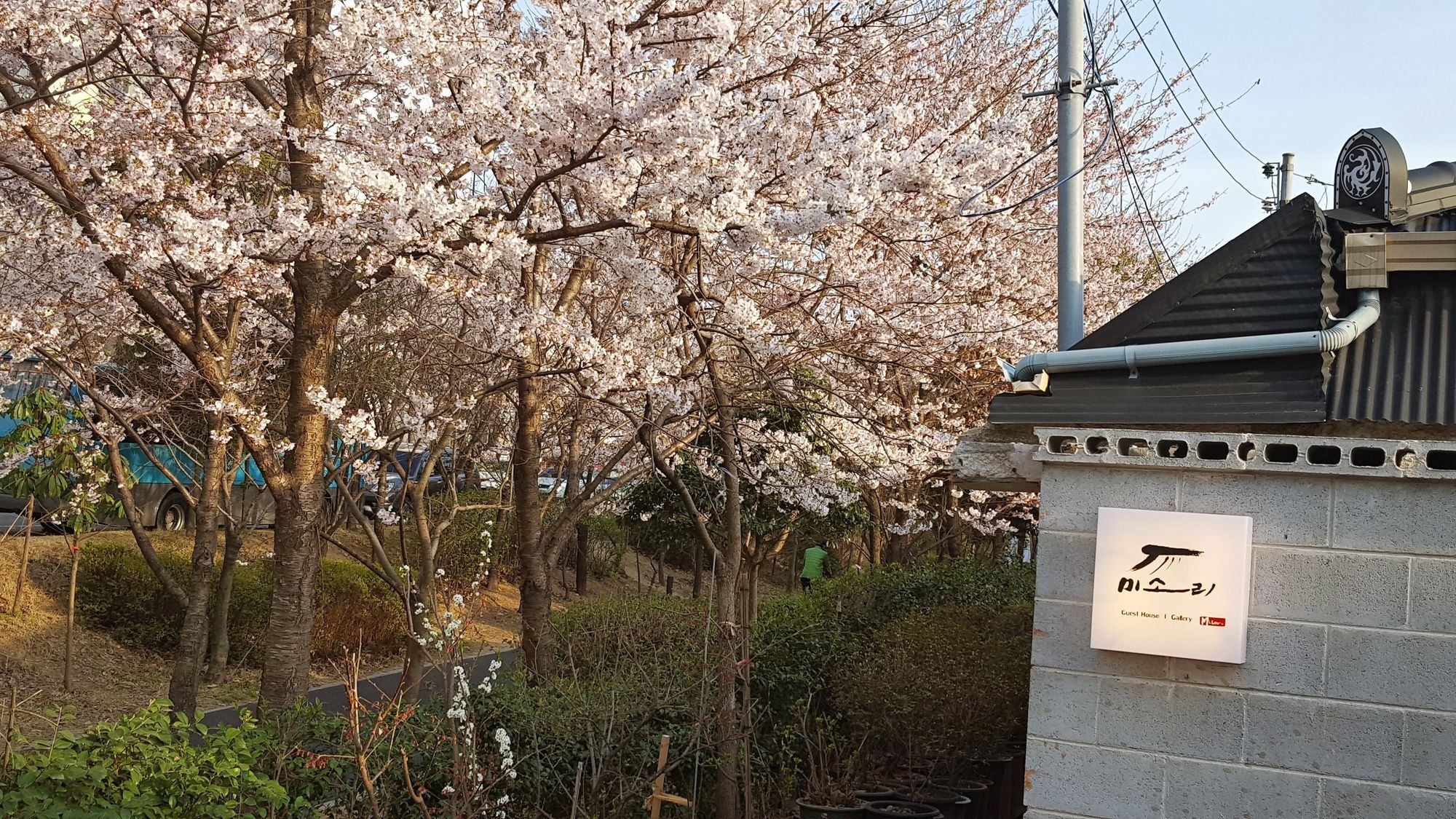 Misori Guesthouse Gwangju Metropolitan City Eksteriør billede